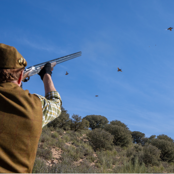 Package of 1 day shooting