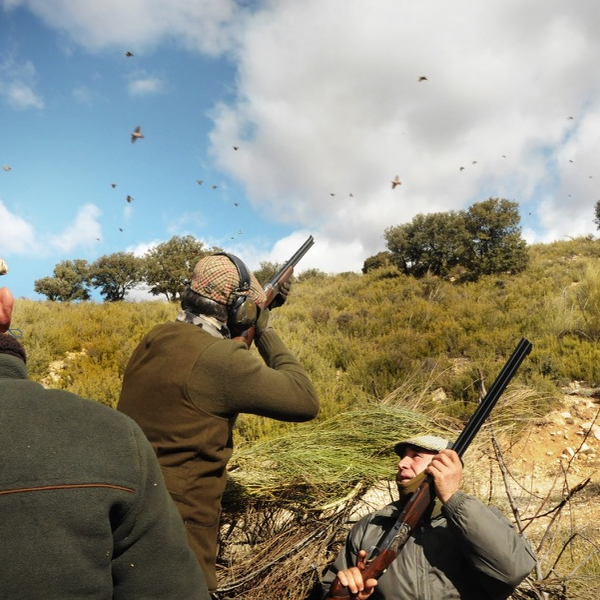 Package of 1 day shooting