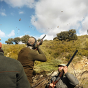 Forfait de chasse d’un jour