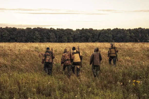 5 cazadores solos.webp