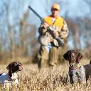 experiencia3 sotuelamos.es.webp