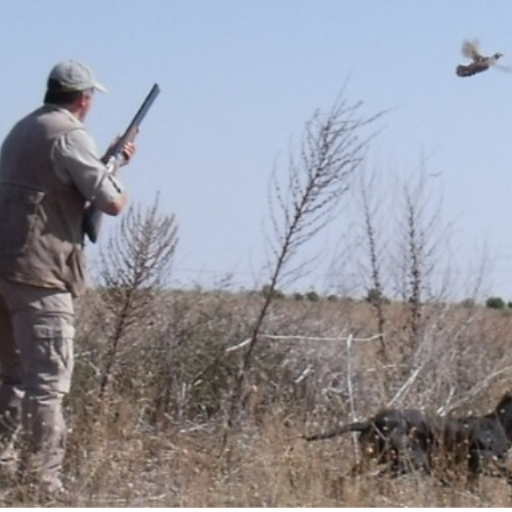 EXPÉRIENCES 1 chasseur