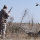 EXPÉRIENCES 1 chasseur