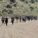 SHOOTING DRIVE RED PARTRIDGES  Up to 10 hunters